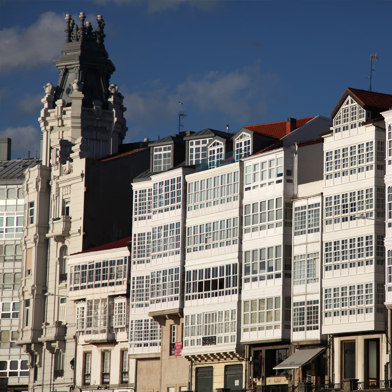 Contacta con el equipo de Megara Detectives